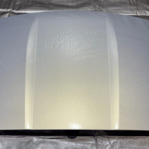 2020-2025 Chevrolet C8 Corvette Coupe Removable Targa Roof Panel / Silver Flare Metallic C8001